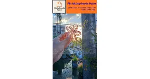 মেয়েদের ওরনামেন্টস | Girls Ornaments