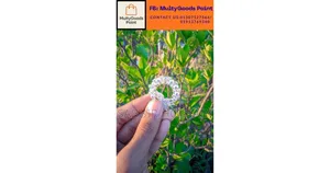 মেয়েদের ওরনামেন্টস | Girls Ornaments