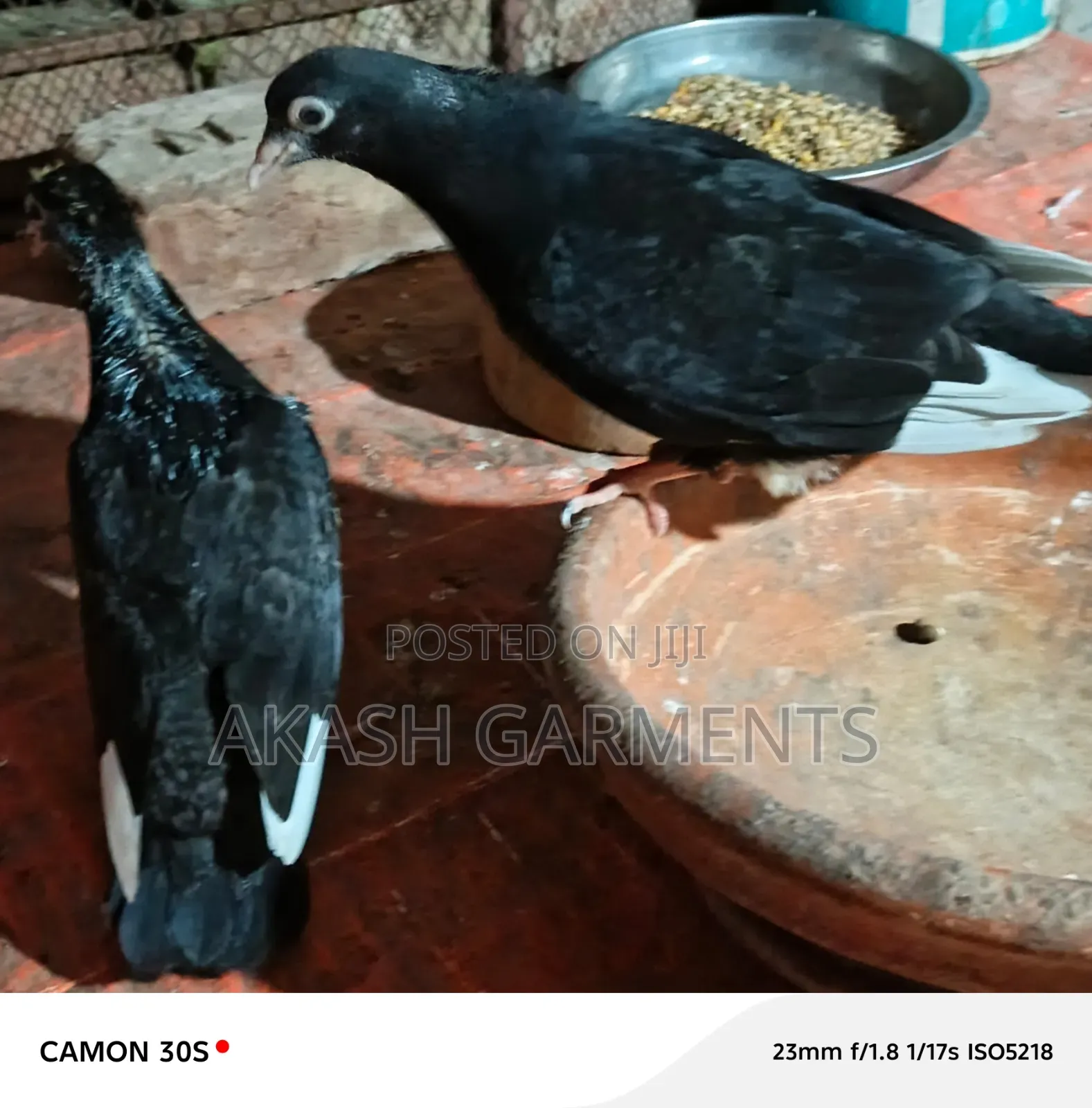 Ek Jora Dubaj Koboyor Full Feresh. Beby New Porer Lal Potti