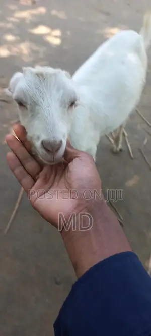 Photo - %(%( %৳3#৳%%Cxxx