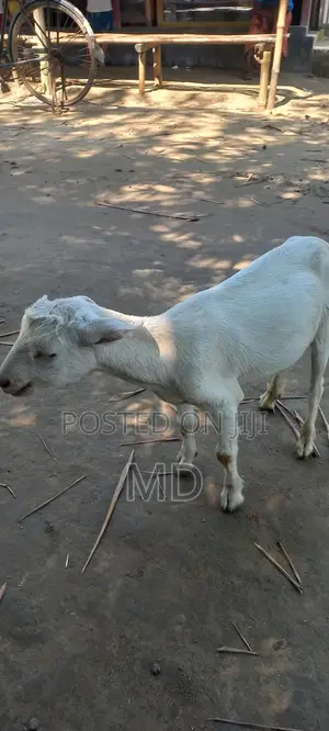 %(%( %৳3#৳%%Cxxx