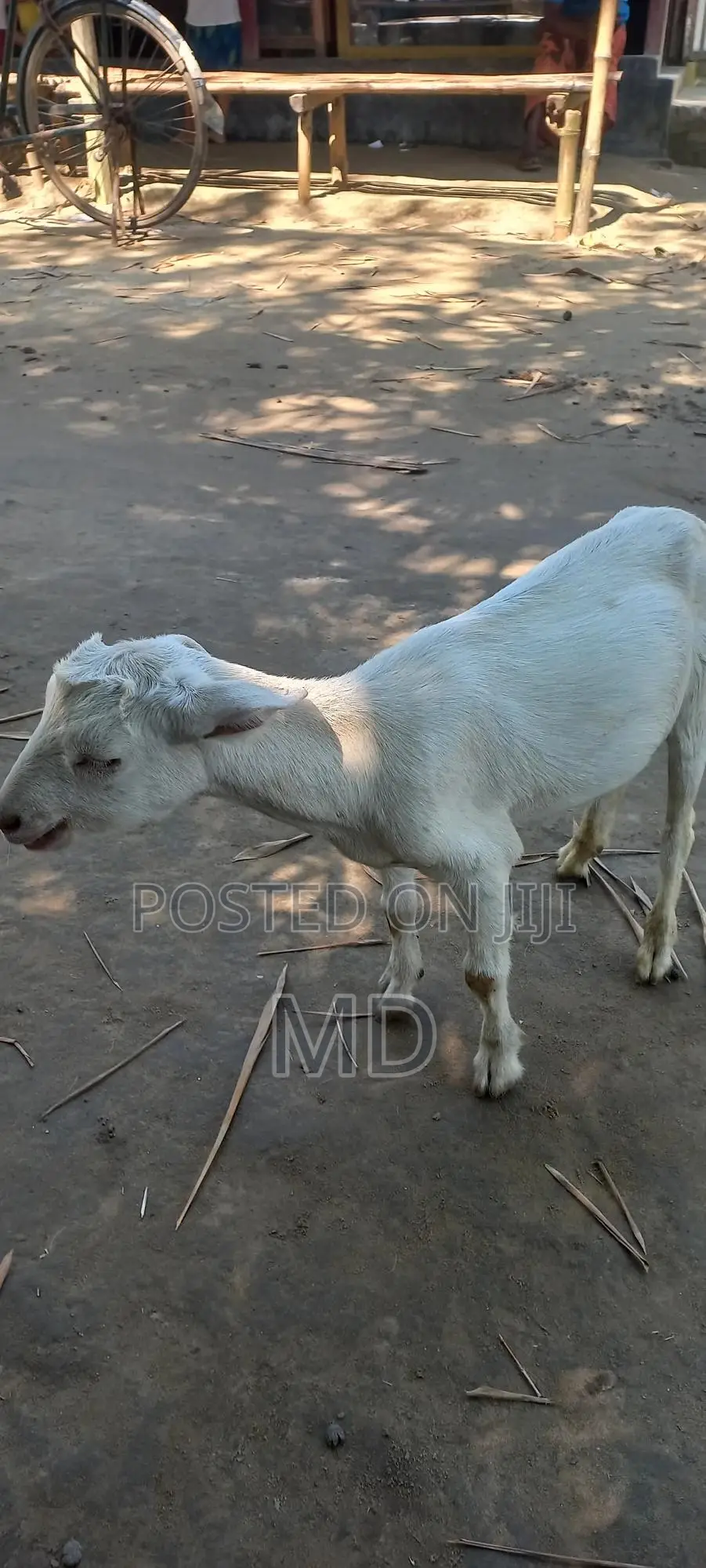 %(%( %৳3#৳%%Cxxx