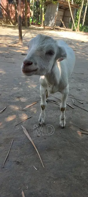 %(%( %৳3#৳%%Cxxx