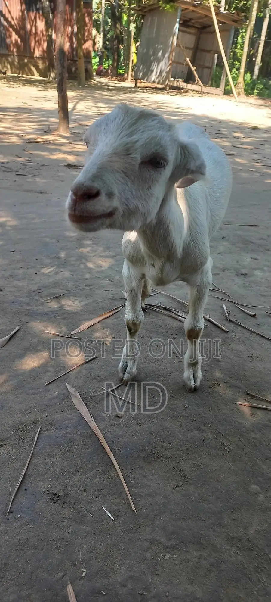 %(%( %৳3#৳%%Cxxx