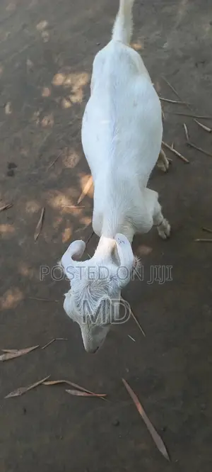 %(%( %৳3#৳%%Cxxx