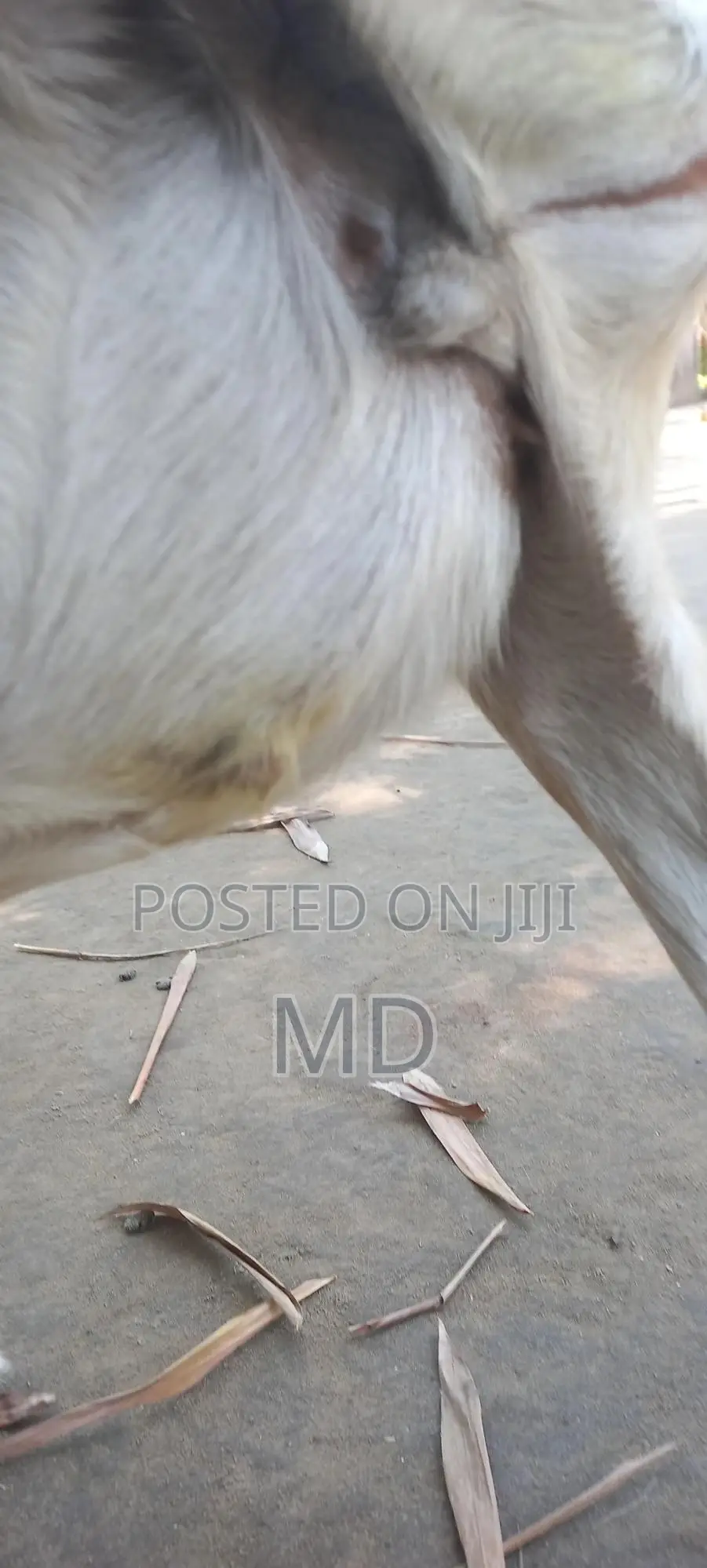 %(%( %৳3#৳%%Cxxx