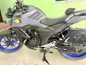 Yamaha FZ6 2024 Gray