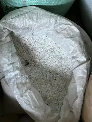 Photo - Aquarium Stons