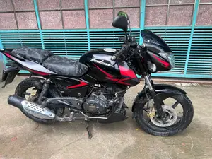 Bajaj Pulsar 150 2019 Black