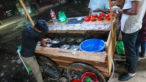 Photo - Arfinhannanomi