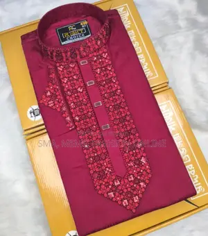 Sequence Embroidery Panjabi