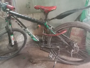 Used Bicycle