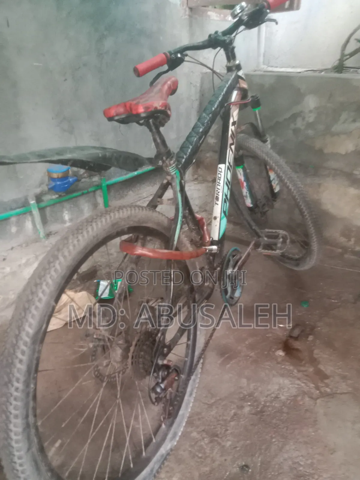 Used Bicycle