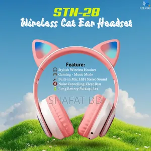 Photo - Premium Wireless Headset