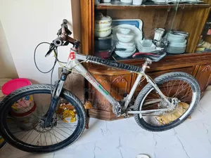 Photo - Foxter Bicycle.