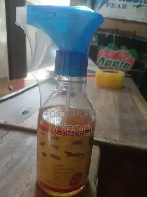 তেলাপোকা,ছারপোকা, মাছি,পিপড়া,মশা,টিকটিকি --:কিলার100% কাজকর