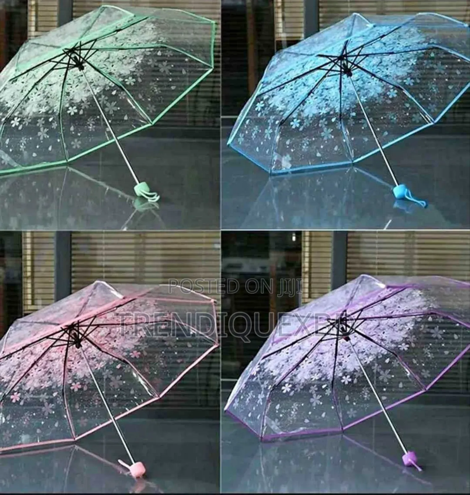 Transparent Umbrella – Stylish Functional