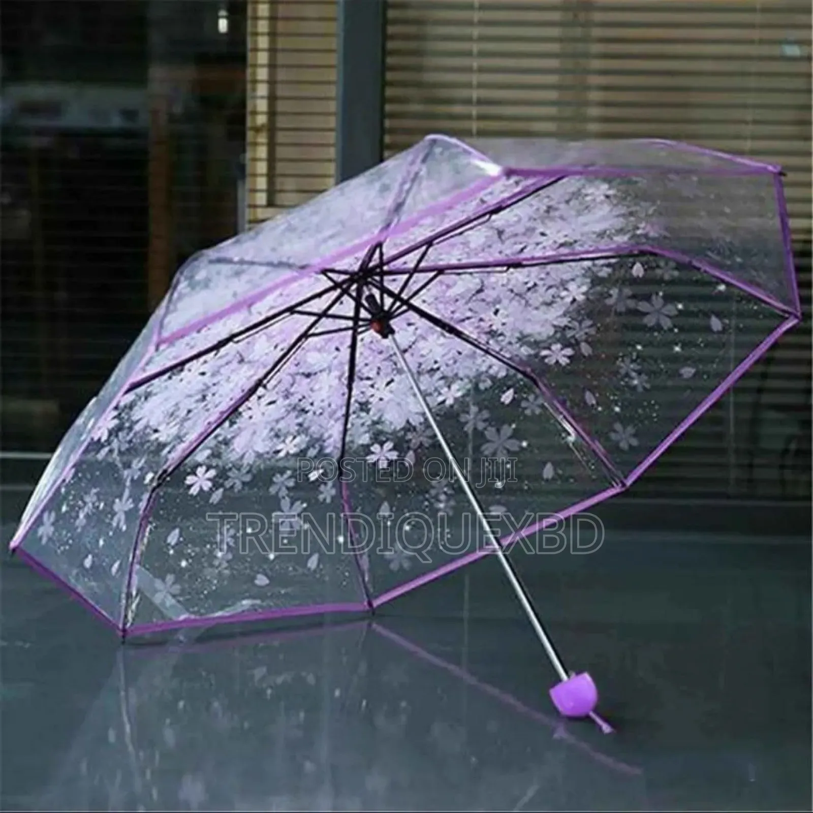 Transparent Umbrella – Stylish Functional