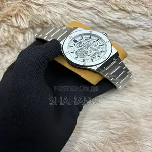 HBLT Men's Luxury Fashionable Automatic Mechanical Movement Watch