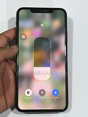 Apple iPhone 11 Pro Max 256 GB Gray