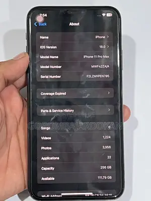 Apple iPhone 11 Pro Max 256 GB Gray