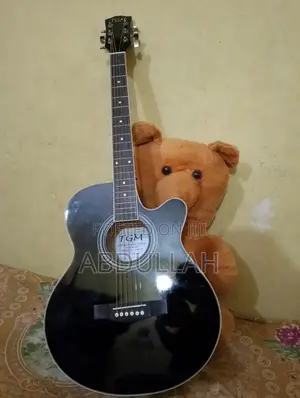 TGM Acoustic Guitar