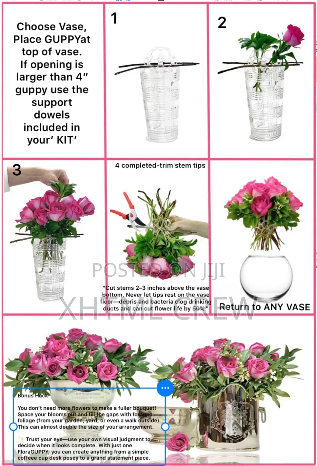 Shopify Store Design and Setup