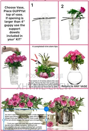 Photo - Shopify Store Design and Setup