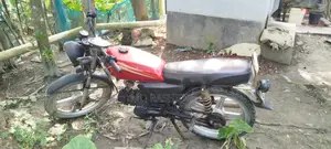 Photo - Motorcycle 2025 Green