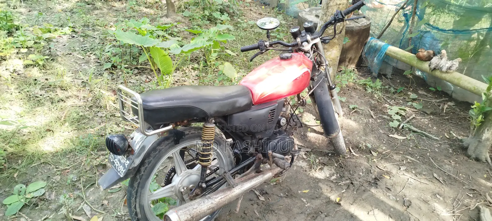 Motorcycle 2025 Green