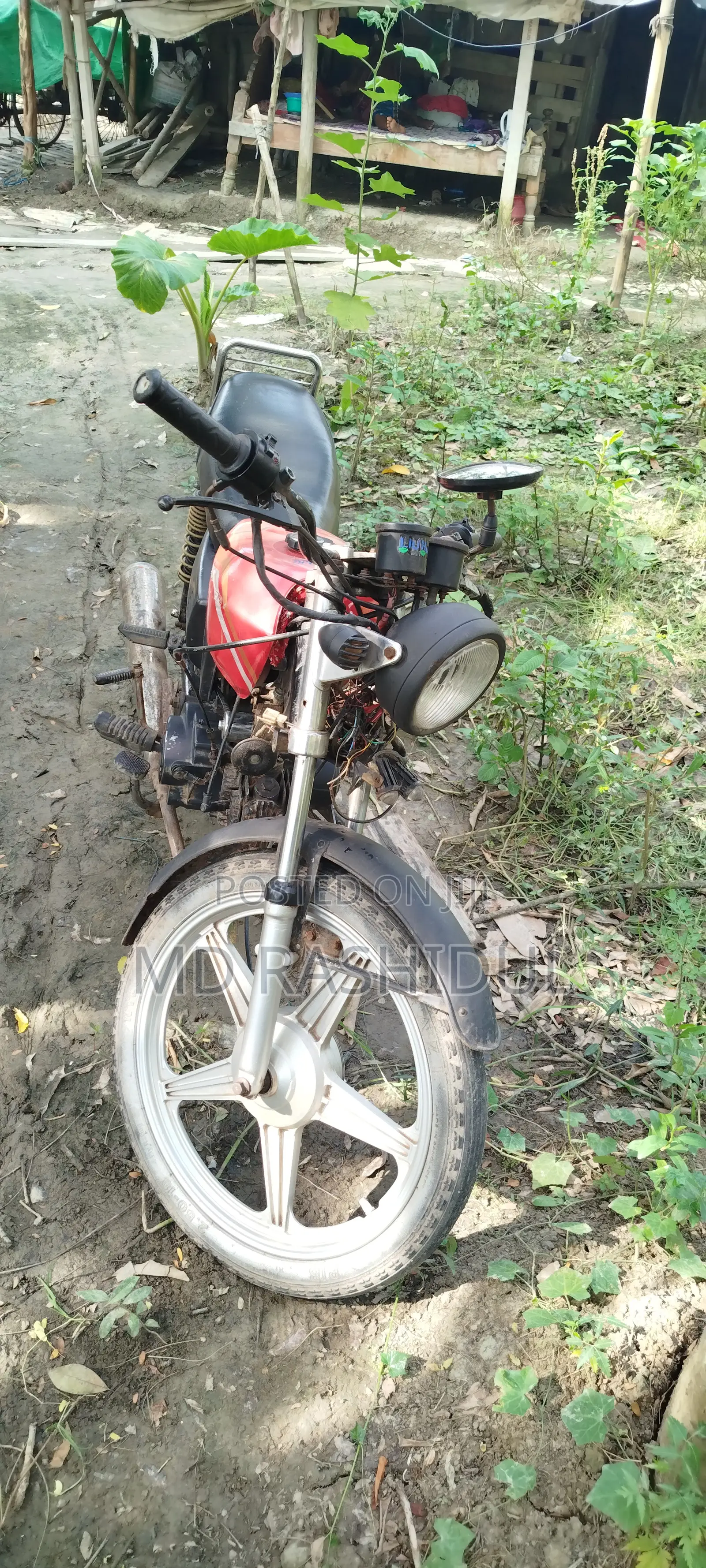 Motorcycle 2025 Green