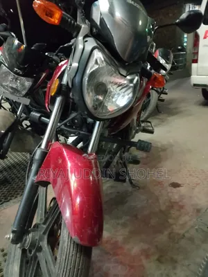 Suzuki GSX 2024 Brown