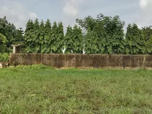 ফেনী মধুপুরে ৭শতক পরিমাণ জমি বিক্রয় করা হবে।