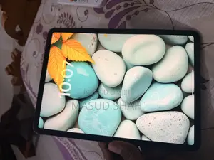 Apple iPad Pro 11 (2020) 256 GB Gray