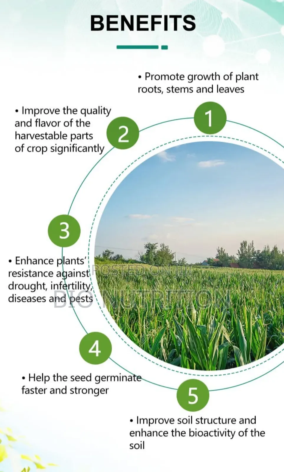 Amino Acid Micronutrient (এমাইনো এসিড)