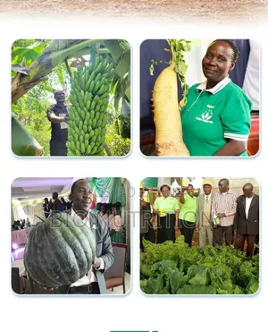 Amino Acid Micronutrient (এমাইনো এসিড)