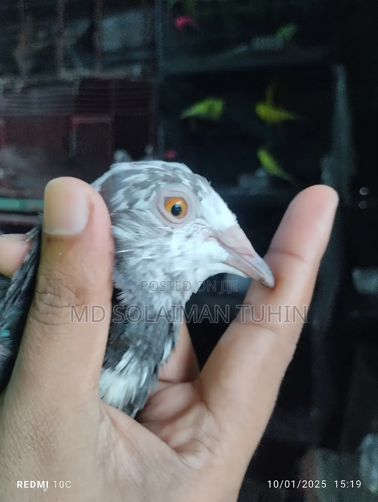 Single Nor Running Peyar Sell