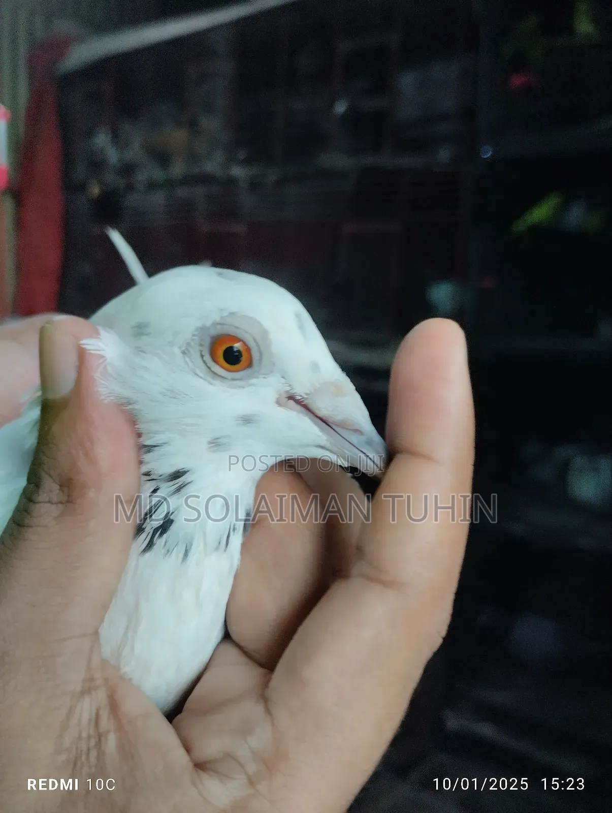 Single Nor Running Peyar Sell