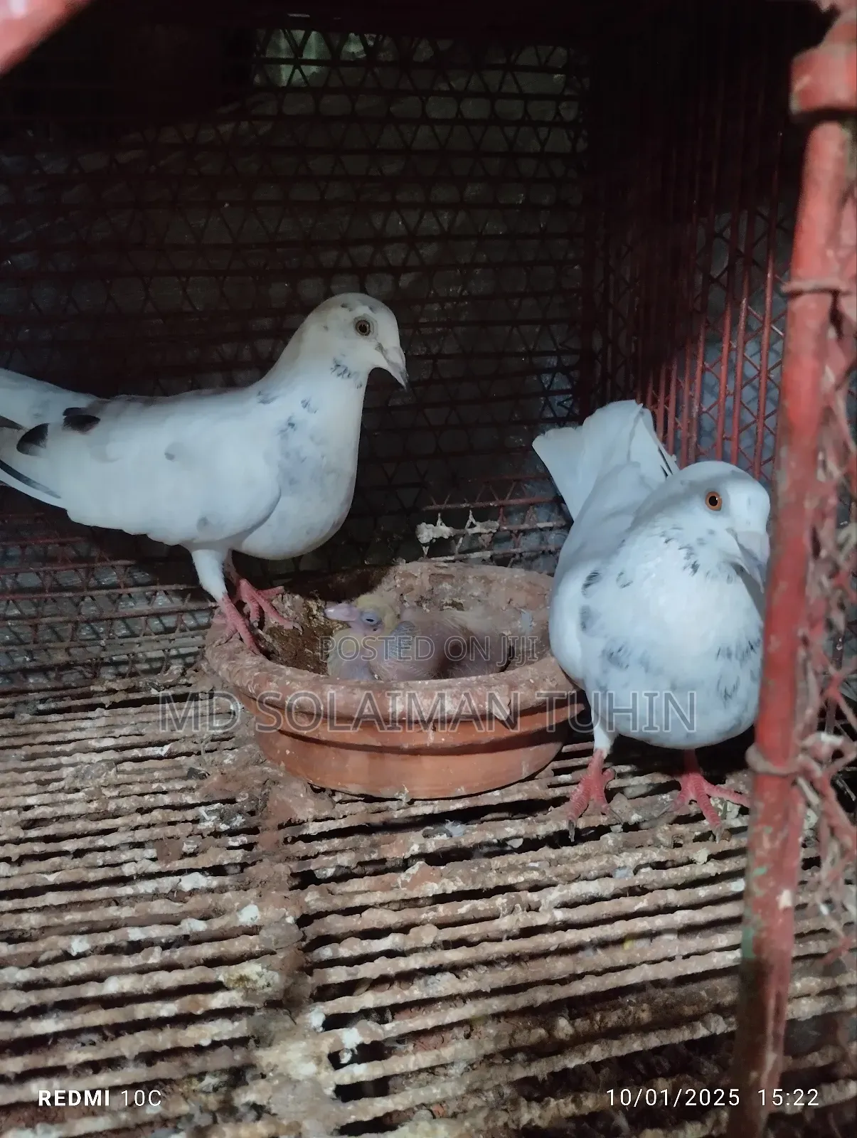 Single Nor Running Peyar Sell