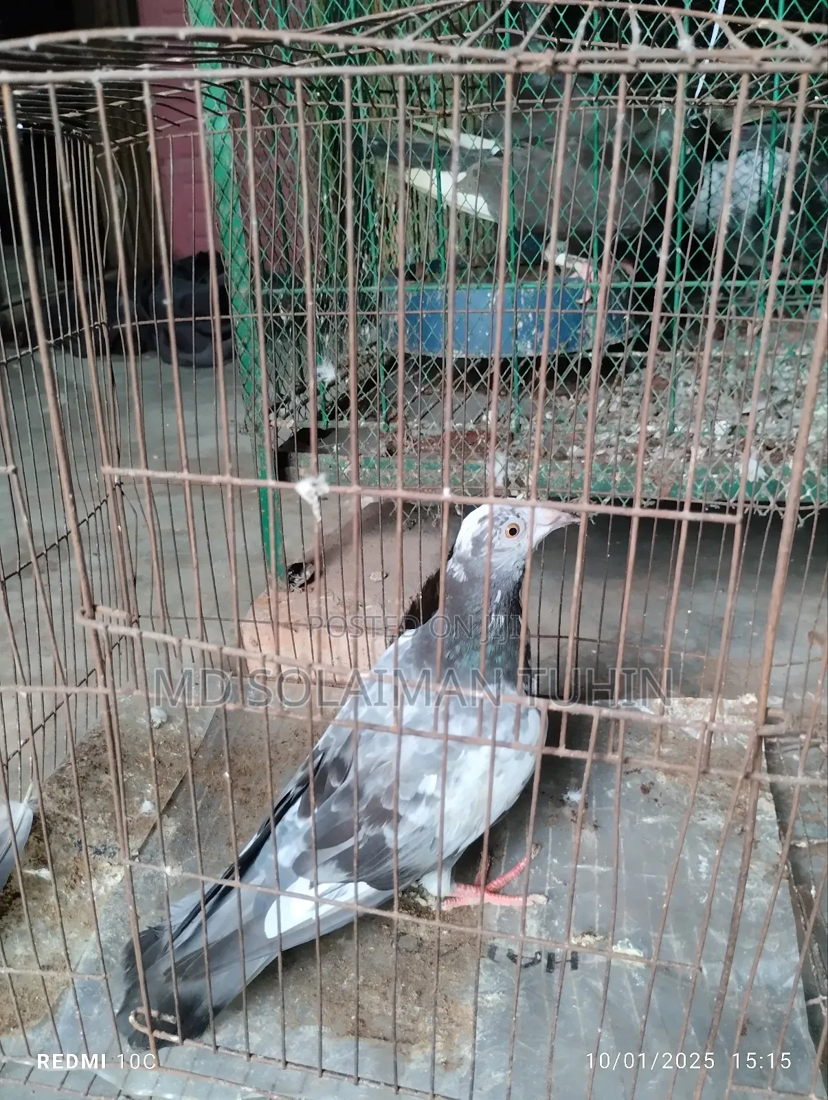 Single Nor Running Peyar Sell