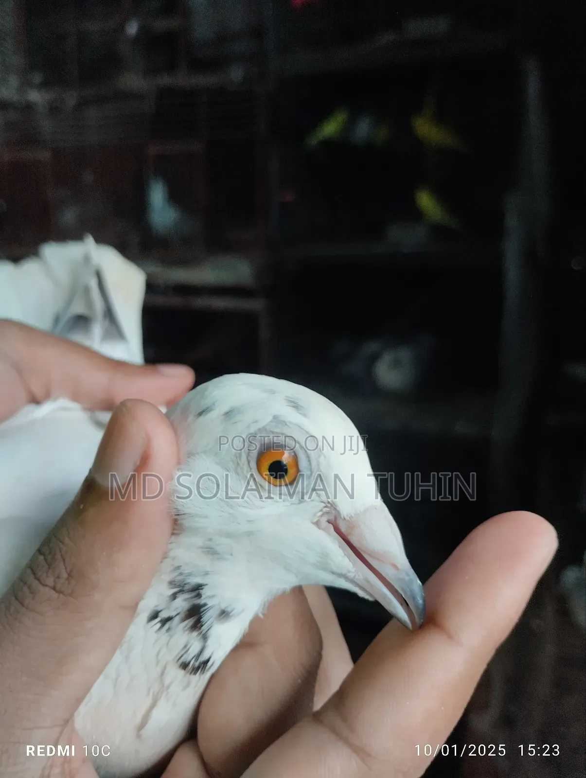 Single Nor Running Peyar Sell