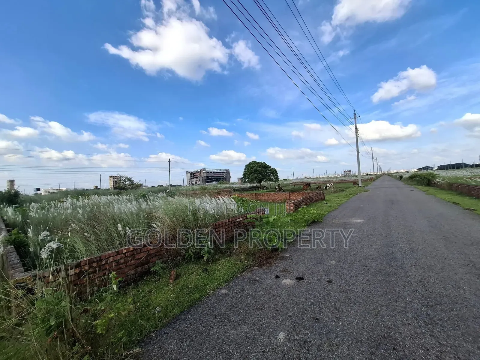 3 Katha Plot Sale N Block Bashundhara