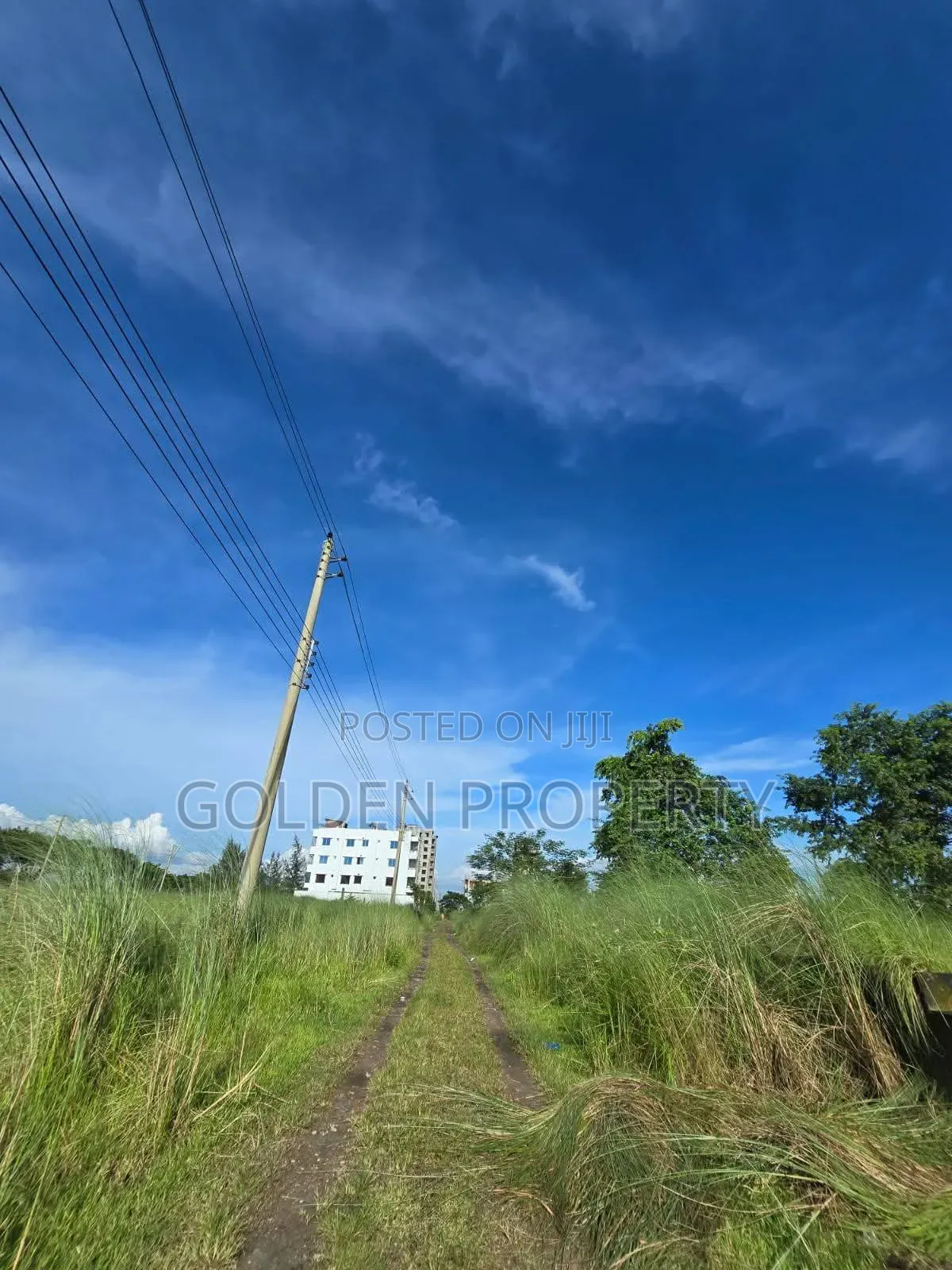 P Block 3 Katha Plot Sale Bashundhara Residential