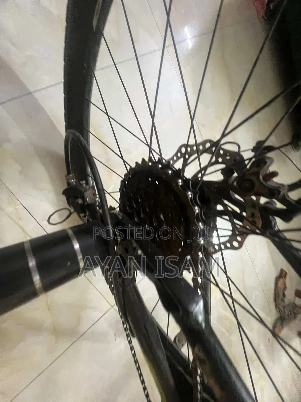 New Senke SK250 2023 Green