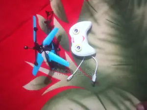 Flying Bird And Helicopter Together Only 2k