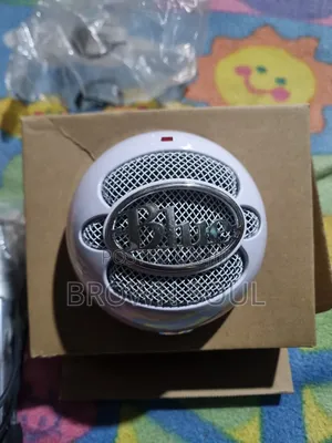 Microphone