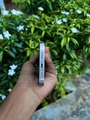 Apple iPhone 13 128 GB White