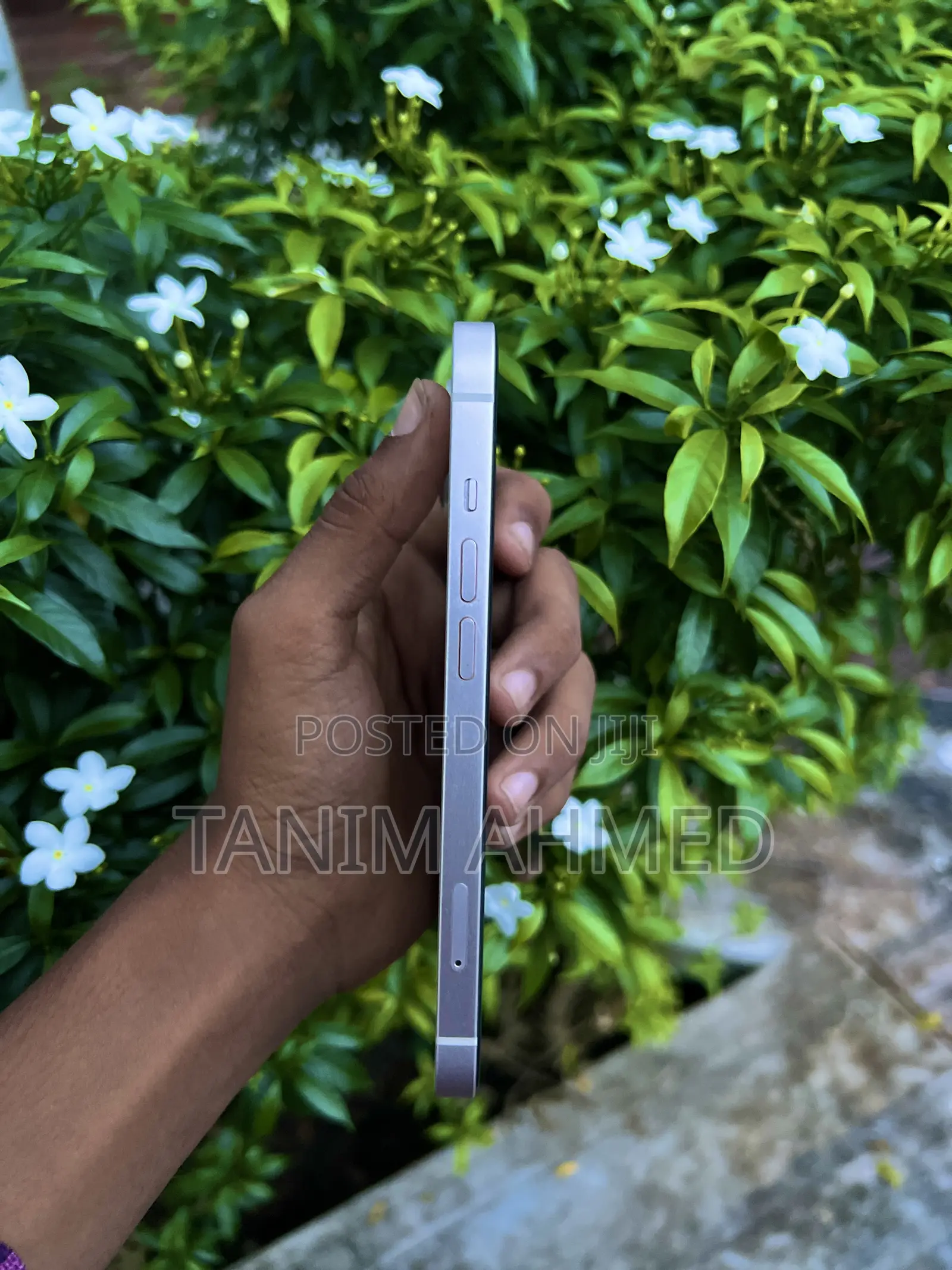 Apple iPhone 13 128 GB White