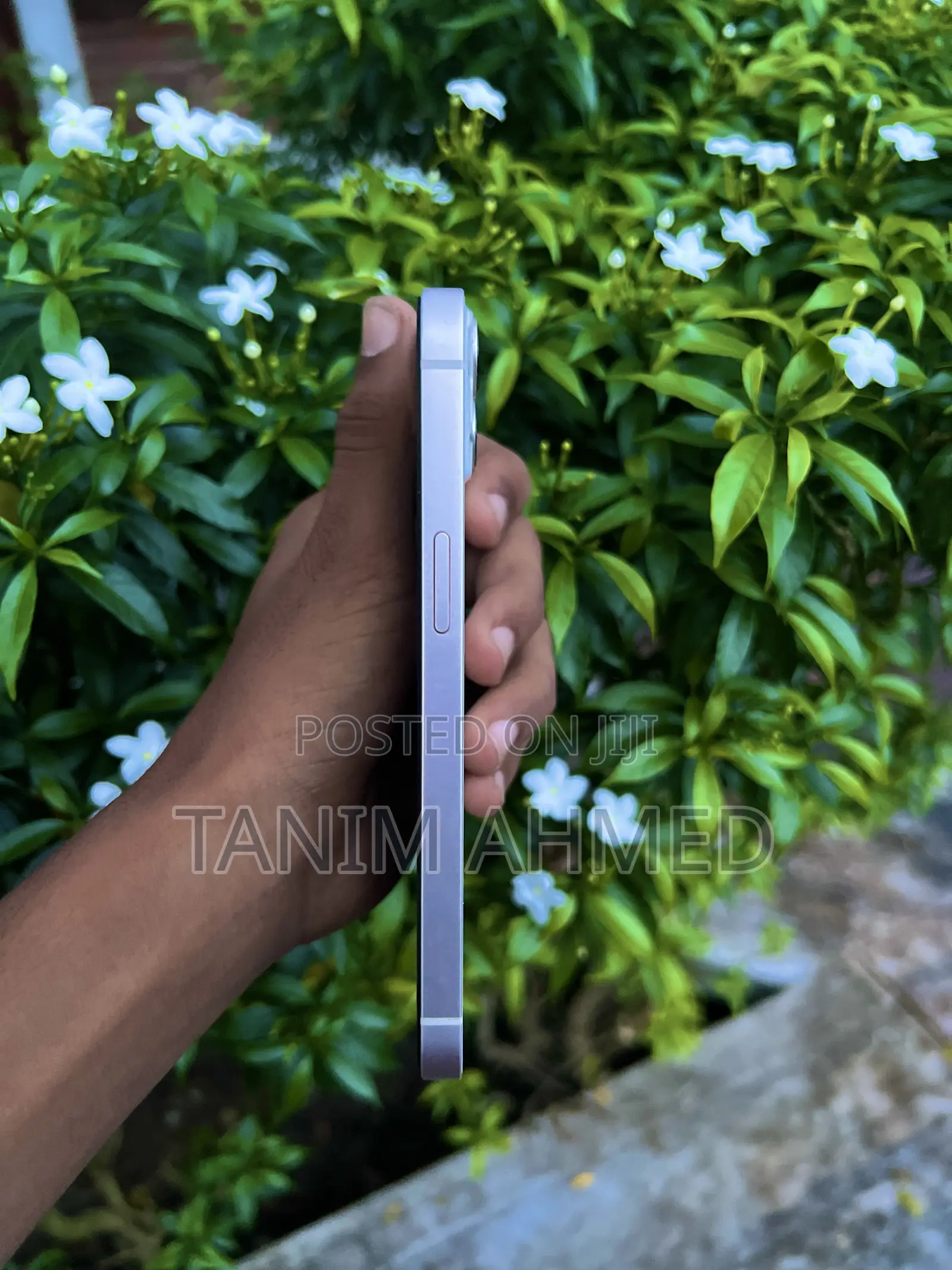 Apple iPhone 13 128 GB White