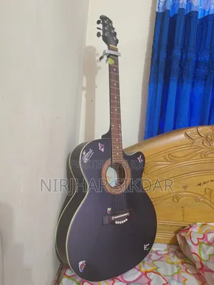 Photo - Guitar Sell ( Signature Topaz 265 )